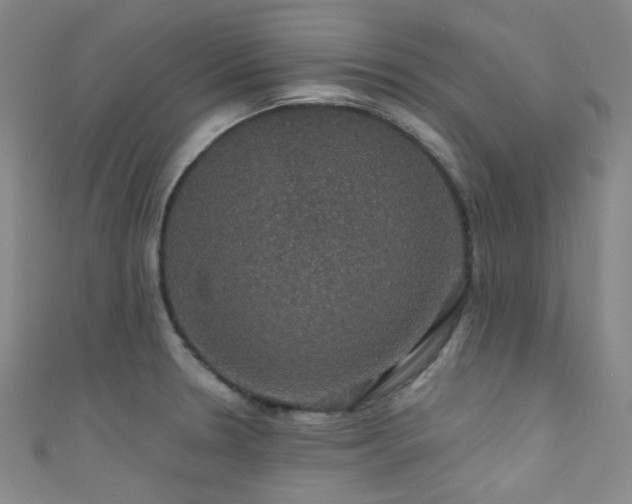 X0000111591330200907161445