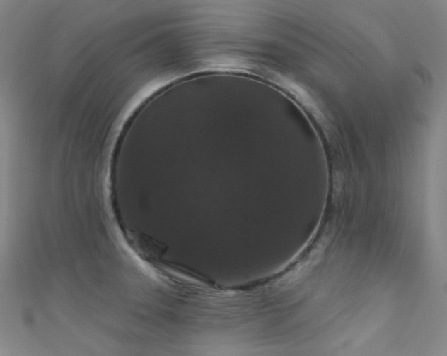 X0000111591331200907161445