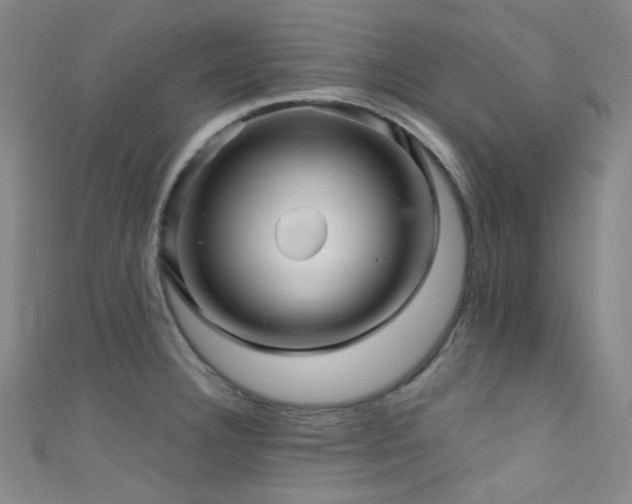 X0000111591332200907161445