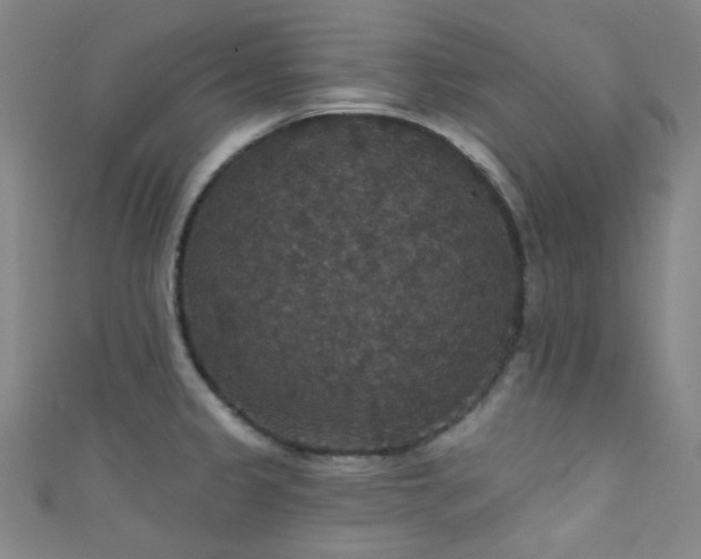 X0000111591333200907161446