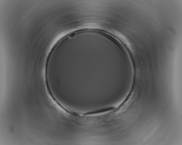 X0000111591334200907161446