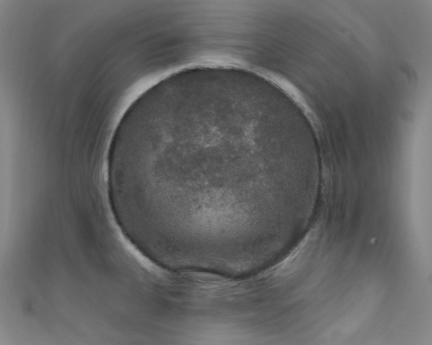 X0000111591335200907161446