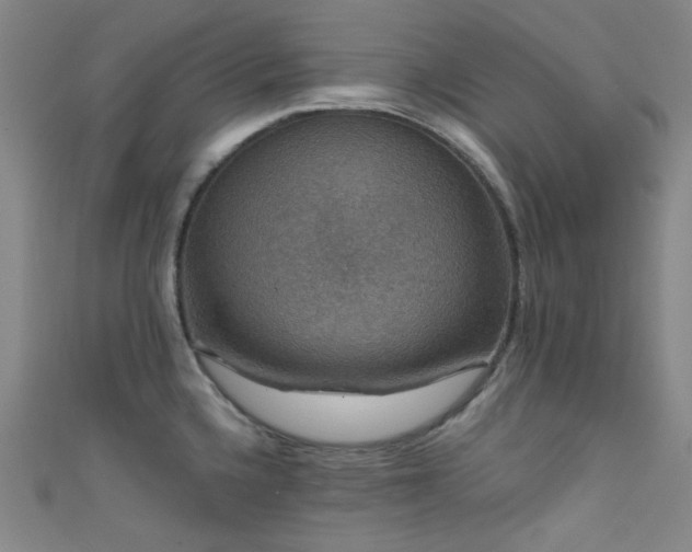 X0000111591336200907161446