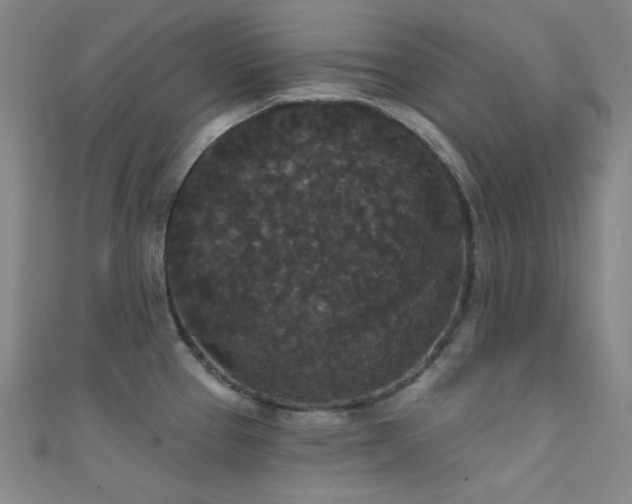 X0000111591337200907161446