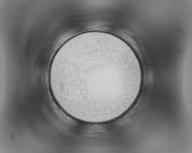 X0000111591338200907161446