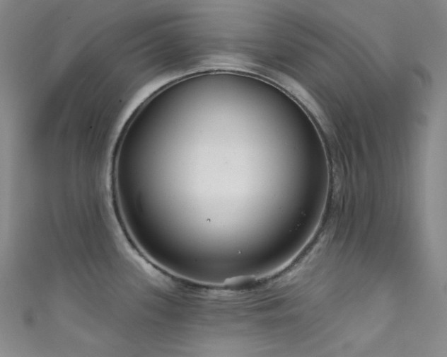 X0000111591339200907161446