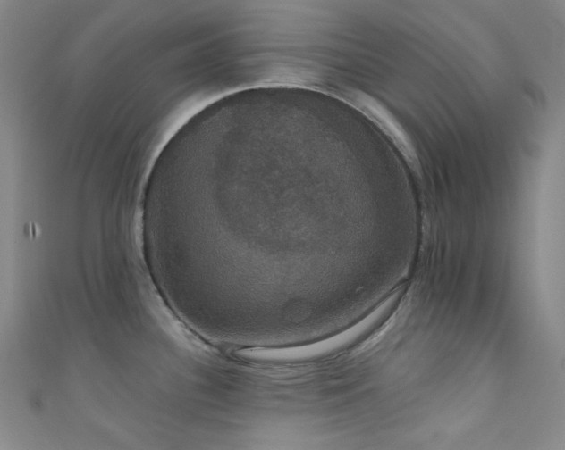 X0000111591340200907161446