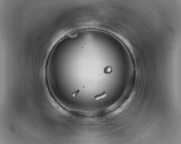 X0000111591341200907161446