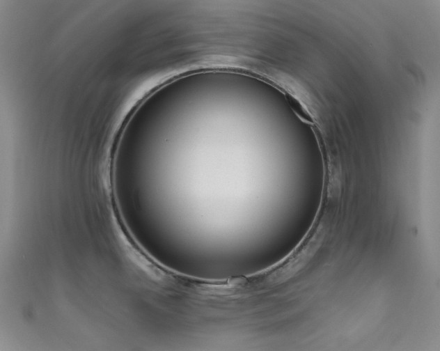 X0000111591342200907161446