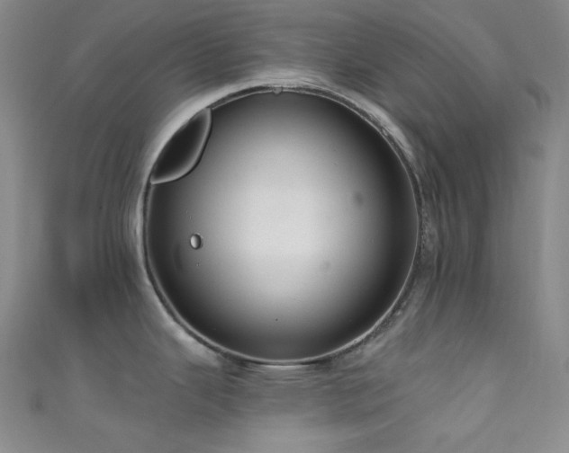 X0000111591343200907161446