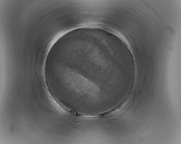 X0000111591344200907161446