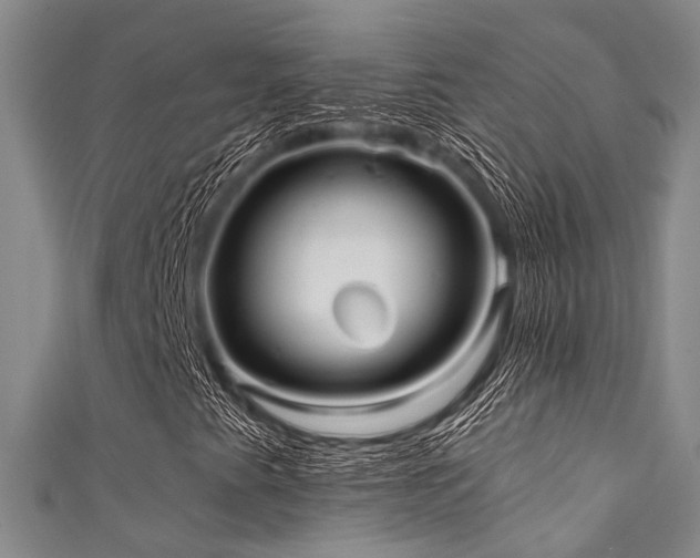 X0000111591345200907161445