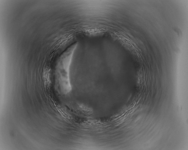 X0000111591346200907161445