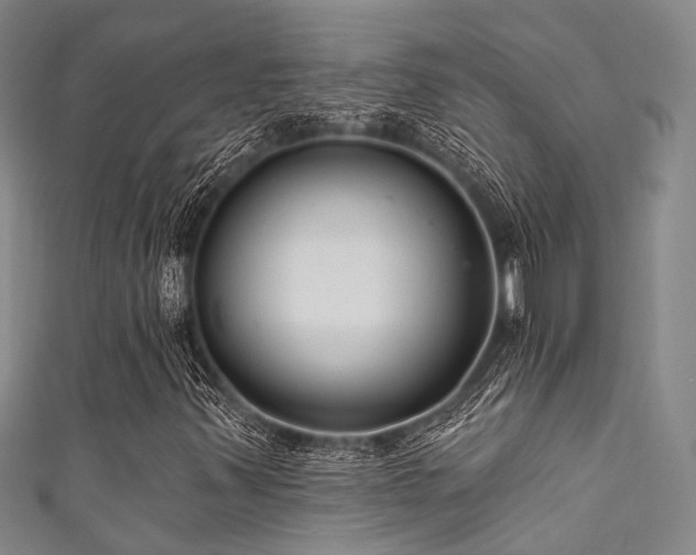 X0000111591347200907161445