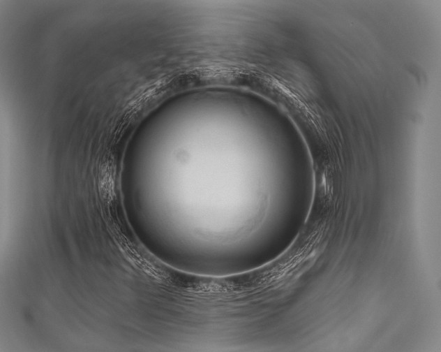 X0000111591348200907161445