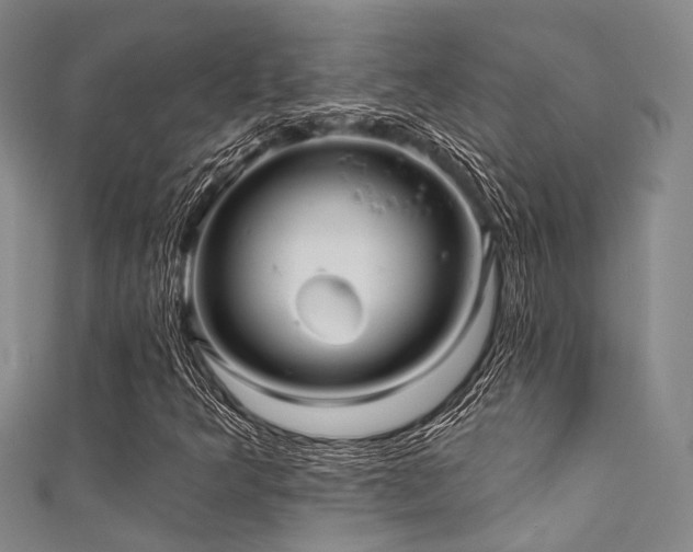 X0000111591349200907161445