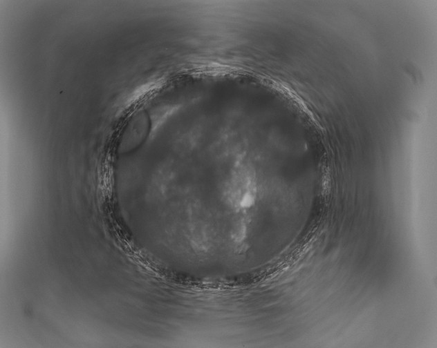 X0000111591350200907161445