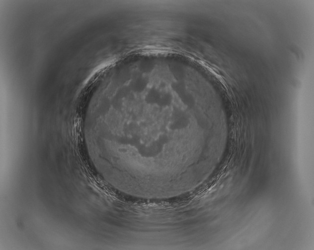 X0000111591351200907161445