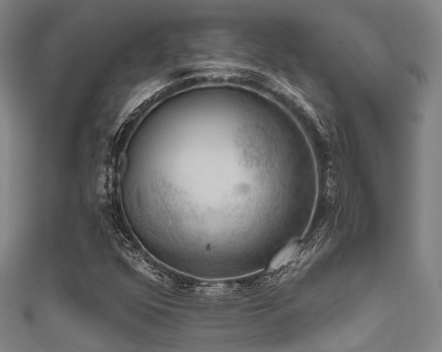 X0000111591352200907161445