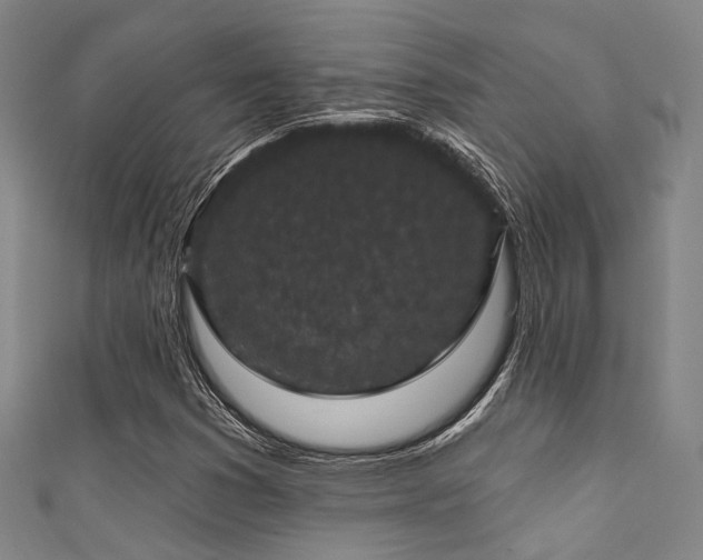 X0000111591353200907161445