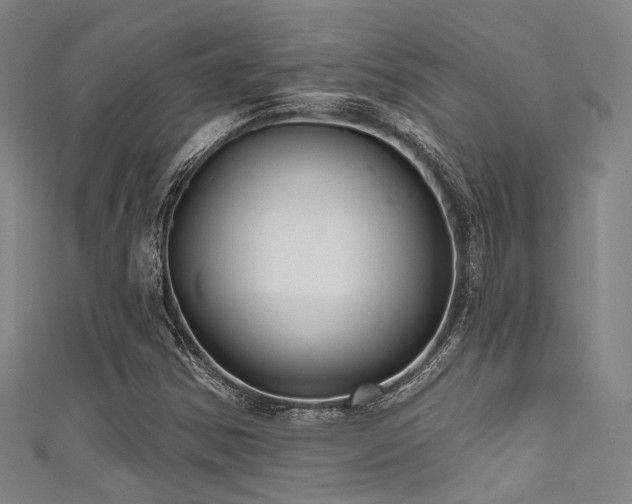 X0000111591354200907161445