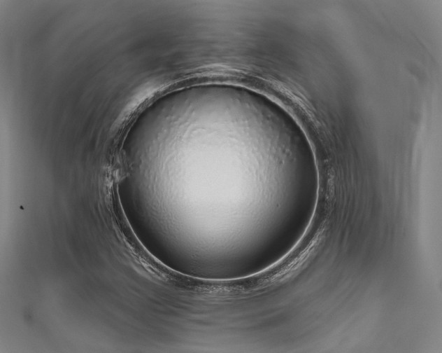 X0000111591355200907161445