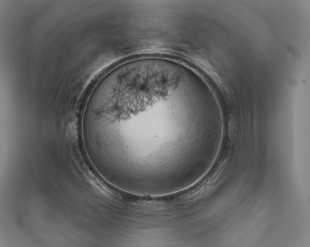 X0000111591356200907161445