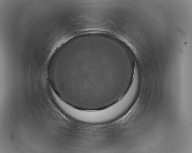 X0000111591357200907161445