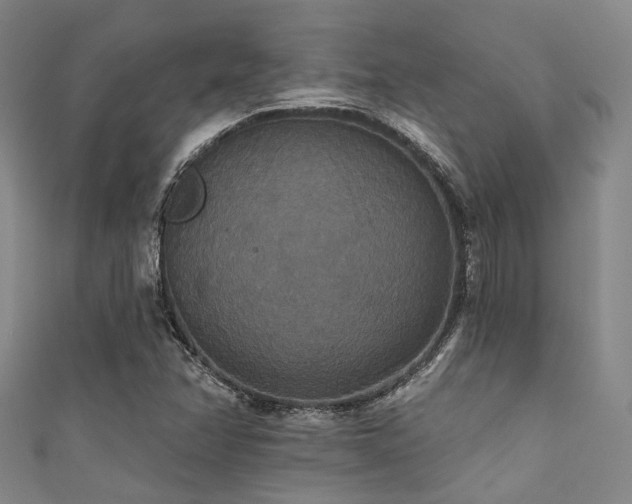 X0000111591358200907161445