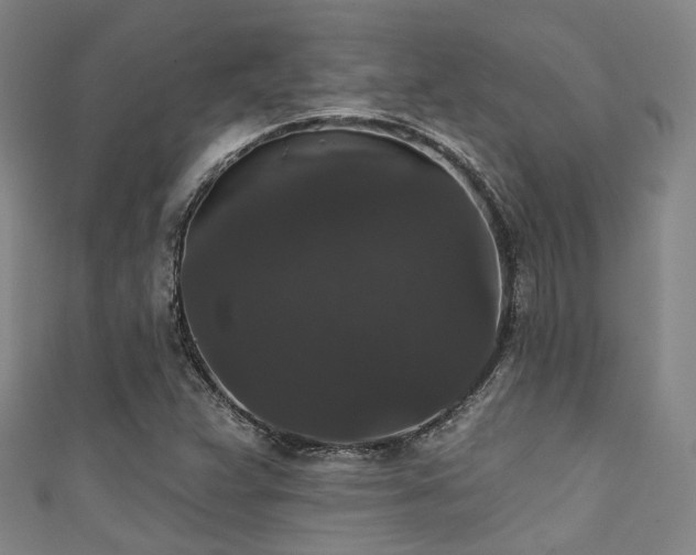 X0000111591359200907161445