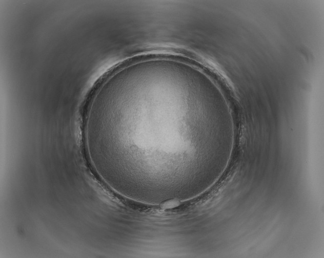 X0000111591360200907161445