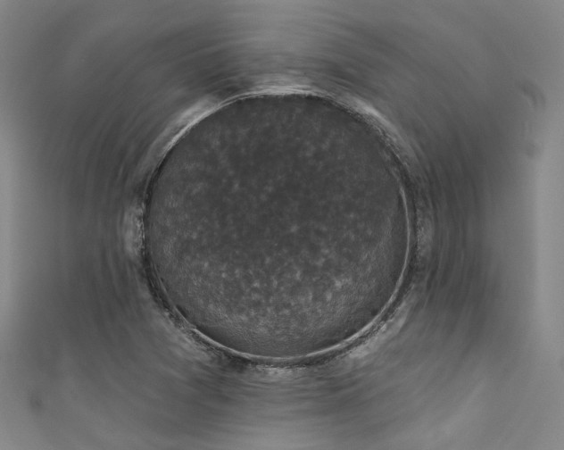 X0000111591361200907161445