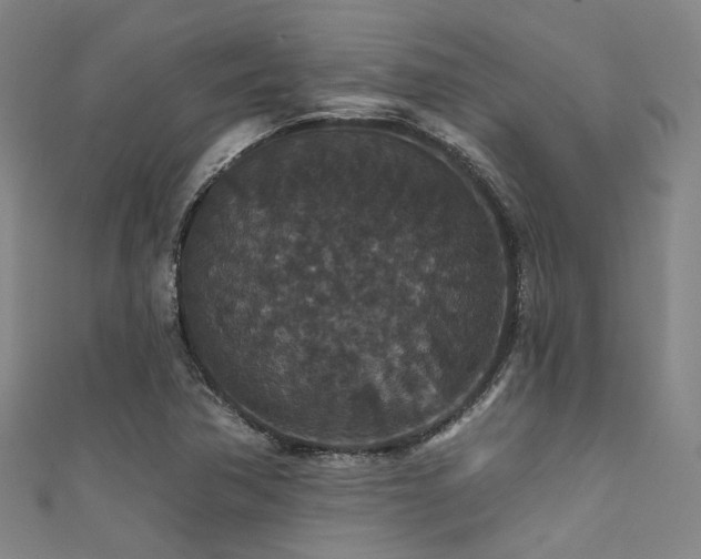 X0000111591362200907161445