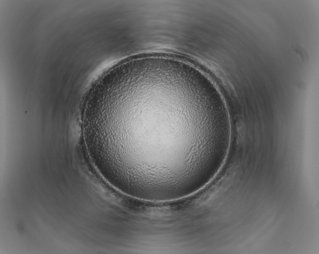 X0000111591363200907161445