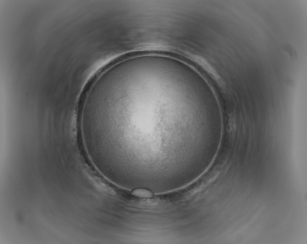 X0000111591364200907161445