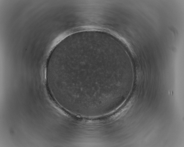 X0000111591365200907161445