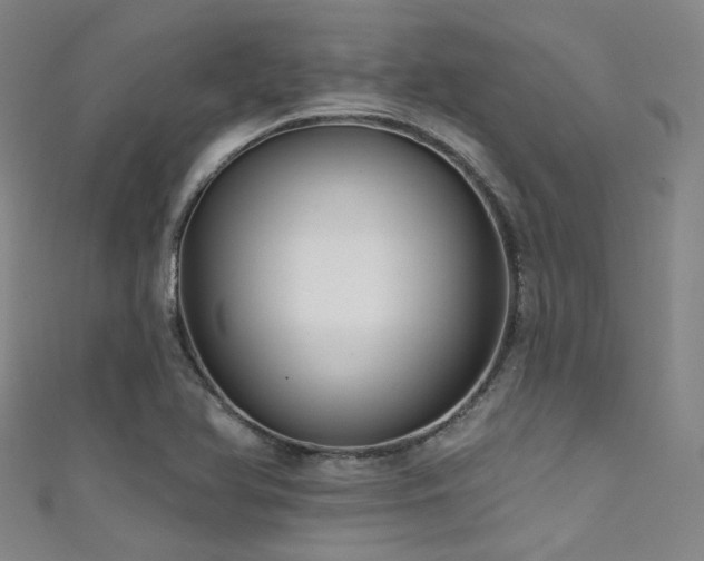 X0000111591366200907161445