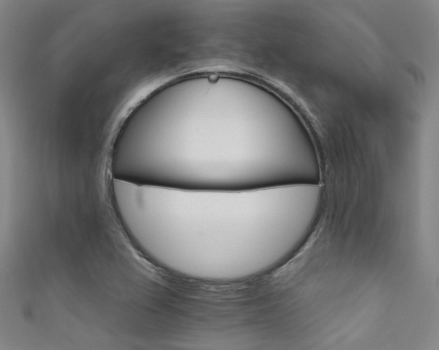 X0000111591367200907161445