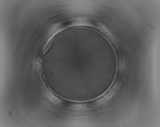 X0000111591369200907161445