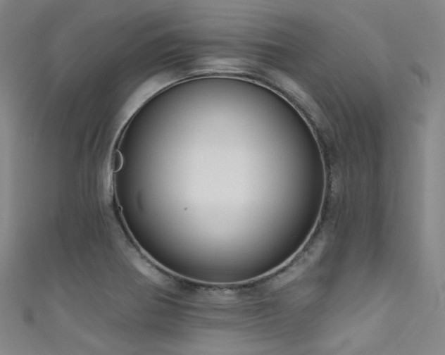 X0000111591370200907161445