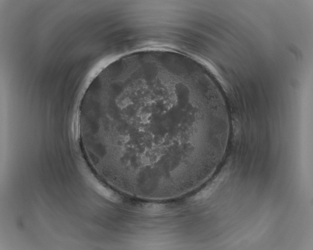 X0000111591371200907161445