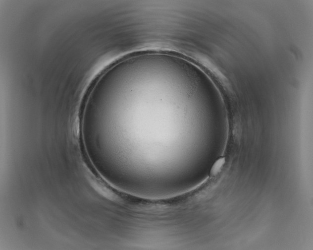 X0000111591372200907161445