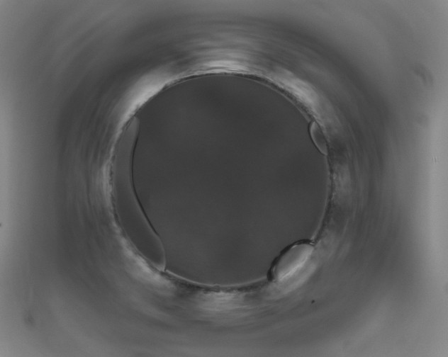 X0000111591373200907161445