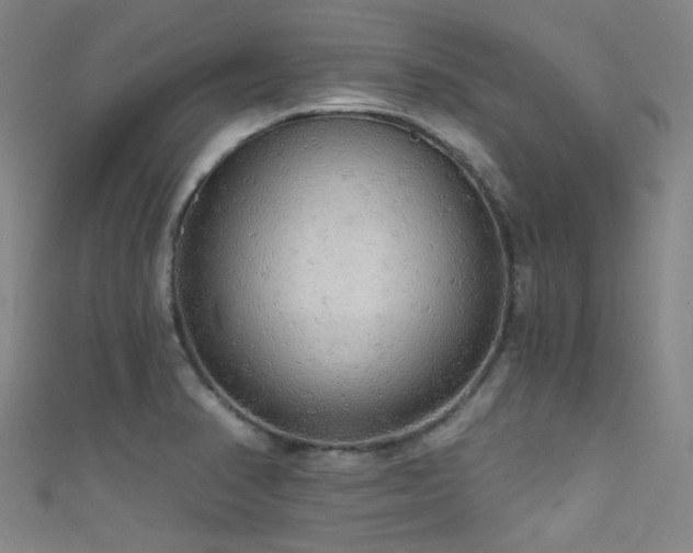 X0000111591374200907161445