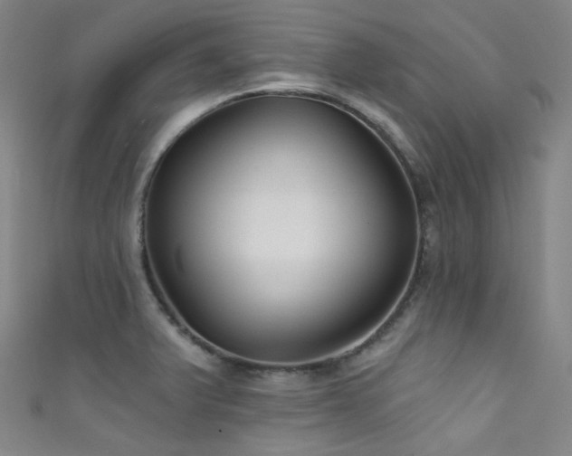 X0000111591375200907161444