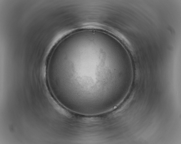 X0000111591376200907161444