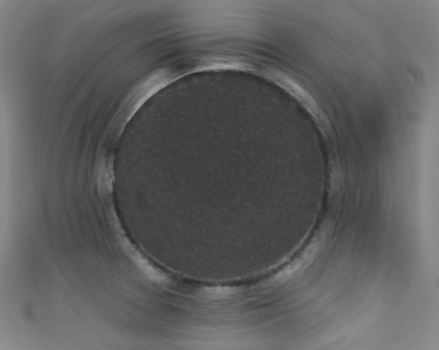 X0000111591377200907161444