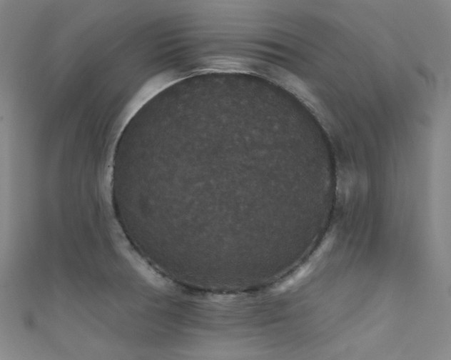 X0000111591378200907161444