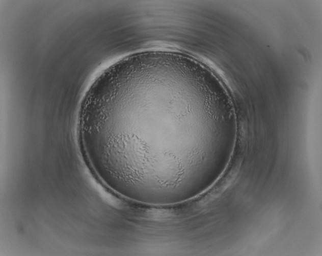 X0000111591379200907161444