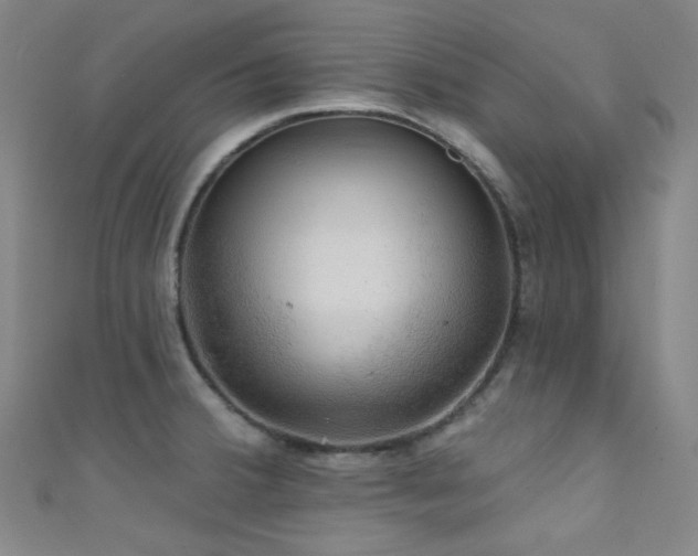 X0000111591380200907161444